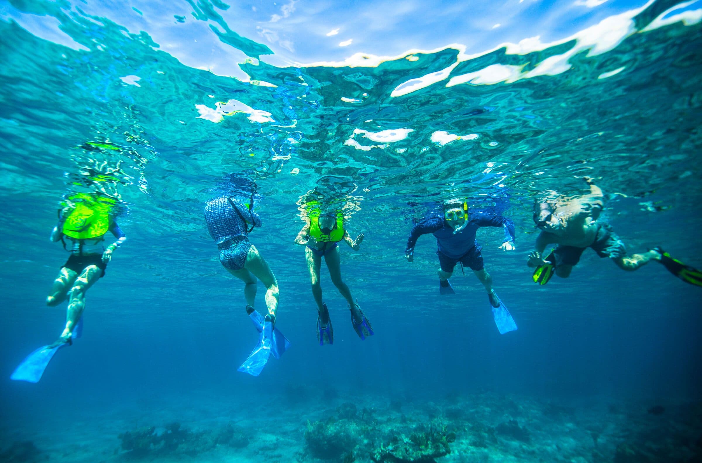 Community members snorkeling in clear tropical water